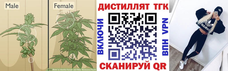 ТГК THC oil  купить  сайты  Железногорск 