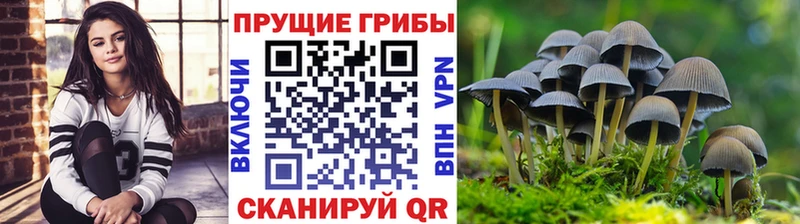 Галлюциногенные грибы MAGIC MUSHROOMS  что такое наркотик  hydra ссылки  Железногорск 
