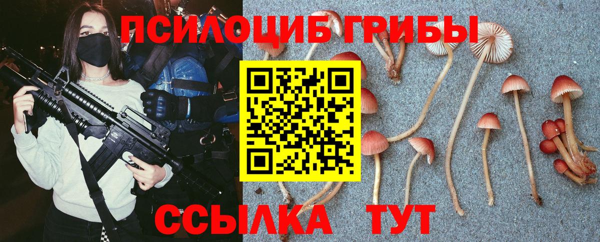 Псилоцибиновые грибы MAGIC MUSHROOMS Железногорск