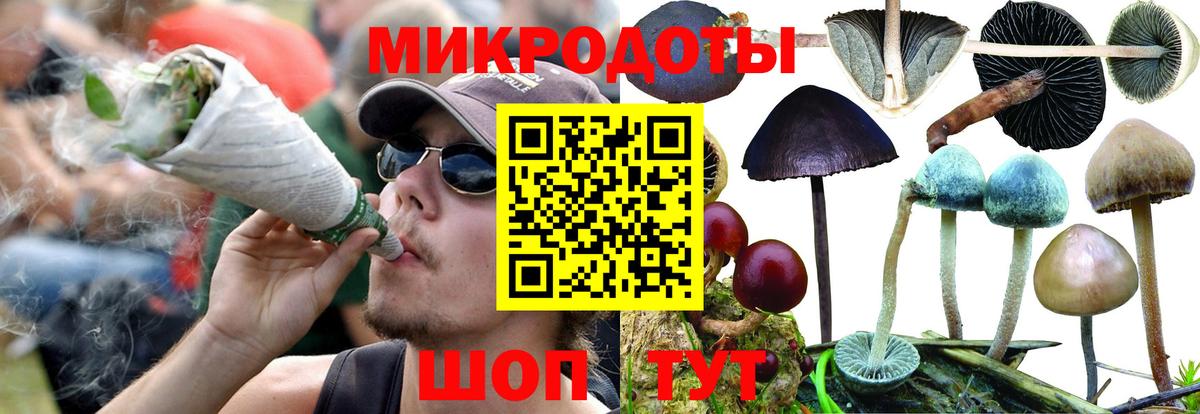 Железногорск  что такое наркотик  Вход с VPN  Галлюциногенные грибы прущие грибы 